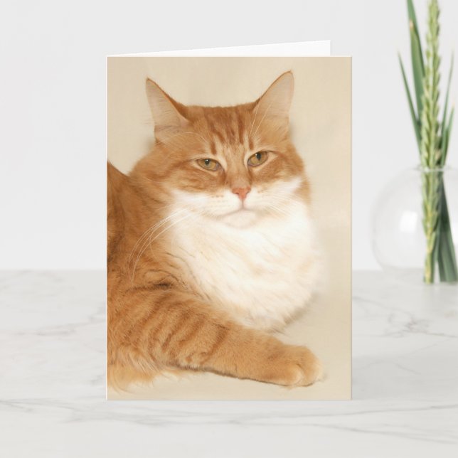 Cartes Pour Fêtes Annuelles Tabby orange Père Noël (Devant)