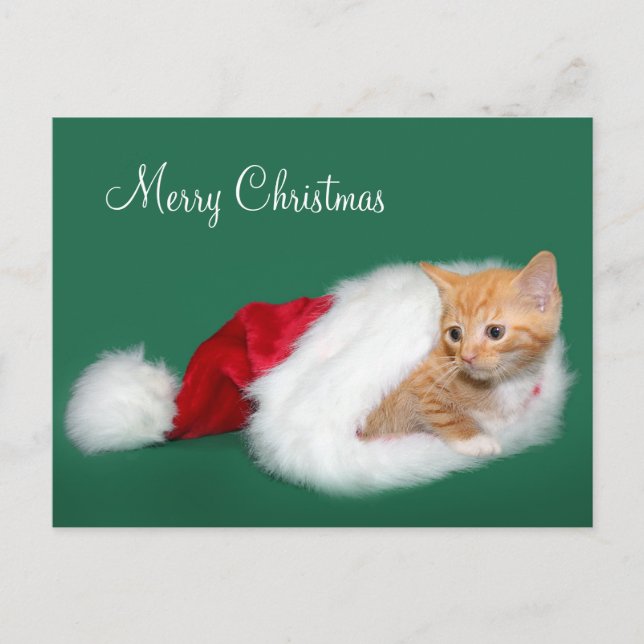 Cartes Pour Fêtes Annuelles Tabby orange Santa hat (Devant)
