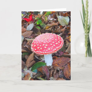 Cartes Pour Fêtes Annuelles Tabouret rouge
