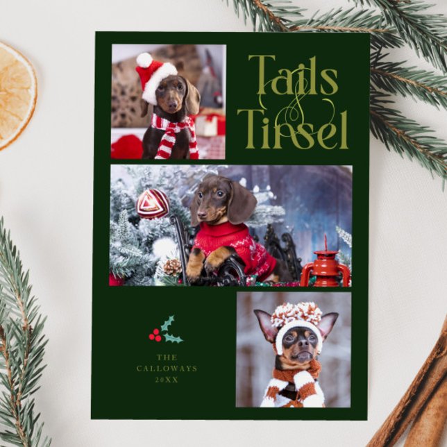 Cartes Pour Fêtes Annuelles Tails & Tinsel Chien Photo Green Christmas (Créateur téléchargé)