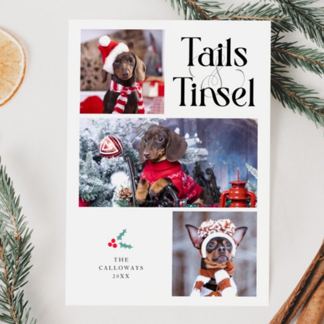 Cartes Pour Fêtes Annuelles Tails & Tinsel Chien photo Noël blanc (Créateur téléchargé)