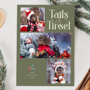 Cartes Pour Fêtes Annuelles Tails & Tinsel Chien Photo Sage Vert Noël