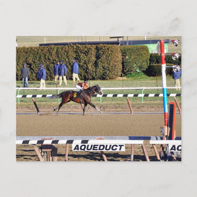 Cartes Pour Fêtes Annuelles Talk Peaceful Gagne le Jour de l'An (Devant)