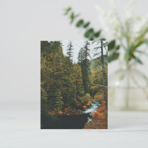 Cartes Pour Fêtes Annuelles Tamolitch Falls (piscine bleue)