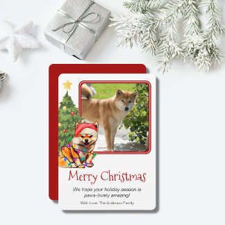 Cartes Pour Fêtes Annuelles Tan Shiba Inu et Noël Arbre animal de compagnie Ch