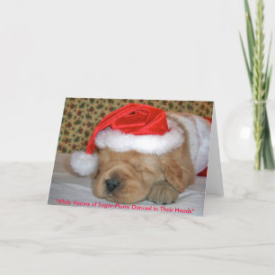 Cartes Pour Fêtes Annuelles "Tandis que visions des Sucre-Prunes dansées dans