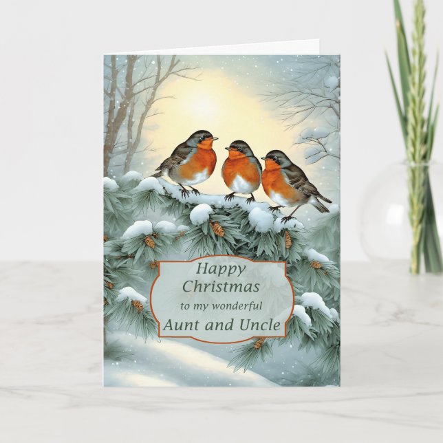 Cartes Pour Fêtes Annuelles Tante et Oncle Robins Joyeux Noël (Devant)