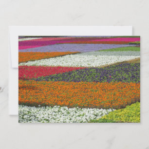 Cartes Pour Fêtes Annuelles Tapis de fleurs