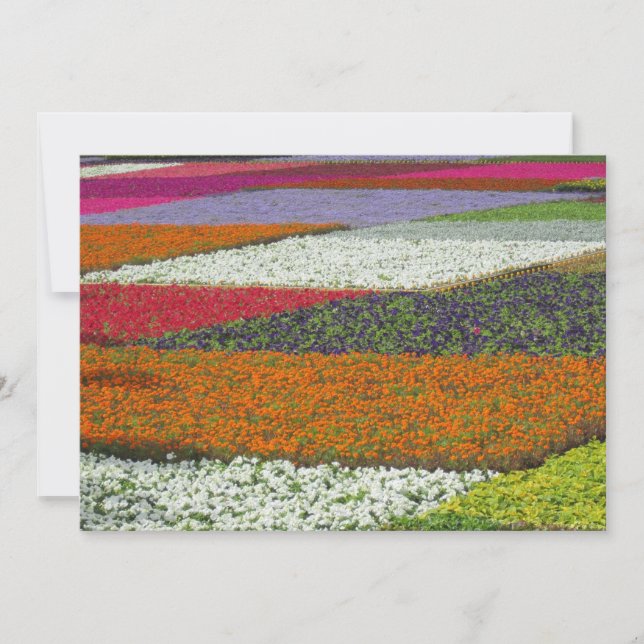 Cartes Pour Fêtes Annuelles Tapis de fleurs (Devant)