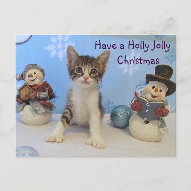 Cartes Pour Fêtes Annuelles Taromina's Holly Jolly Noël — Chat / Kitten (Devant)