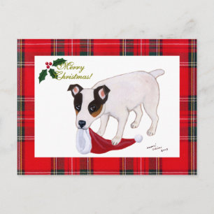 Cartes Pour Fêtes Annuelles Tartan de Noël de Jack Russell Terrier