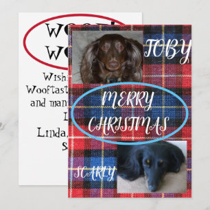 Cartes Pour Fêtes Annuelles Tartan Joyeux Noël Duo pour Animaux de Compagnie B