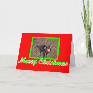 Cartes Pour Fêtes Annuelles Tassie Devil