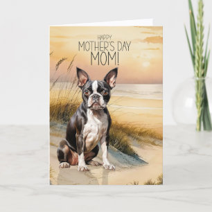 Cartes Pour Fêtes Annuelles Tchiens Boston Terrier Coucher de soleil Plage Fêt