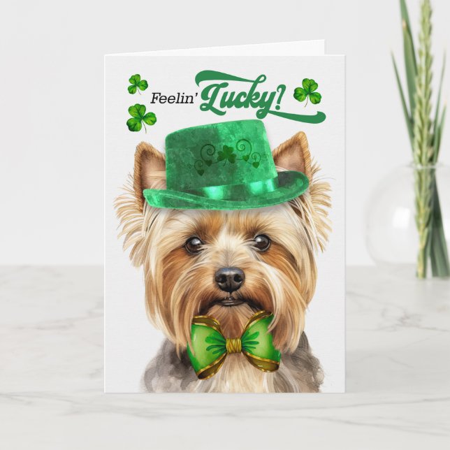 Cartes Pour Fêtes Annuelles Teacup Yorkie Dog Feelin' Lucky St Patrick's Day (Devant)