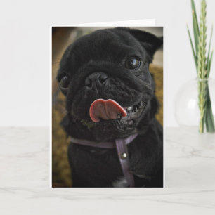 Cartes Pour Fêtes Annuelles Teckel noir qui lèche