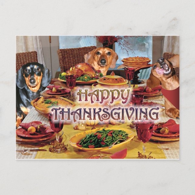Cartes Pour Fêtes Annuelles Teckels de thanksgiving (Devant)