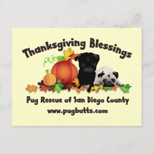 Cartes Pour Fêtes Annuelles Tee - shirt de carlin de thanksgiving et cadeaux -