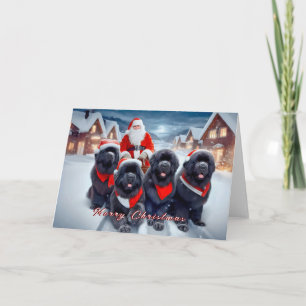 Cartes Pour Fêtes Annuelles Terre-Neuve et Père Noël Christmas Card