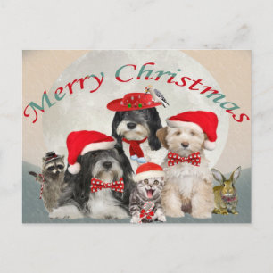 Cartes Pour Fêtes Annuelles Terrier Christmas With Friends