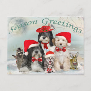 Cartes Pour Fêtes Annuelles Terrier Christmas With Friends