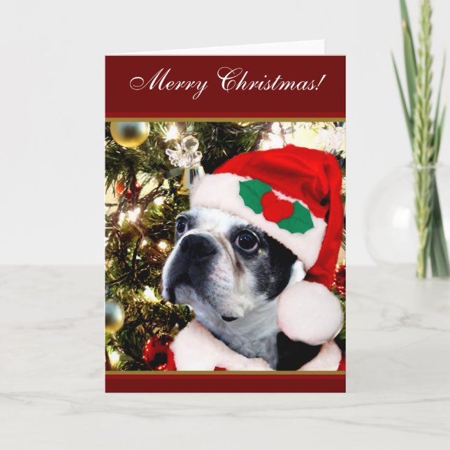 Cartes Pour Fêtes Annuelles Terrier de Boston de Joyeux Noël (Devant)