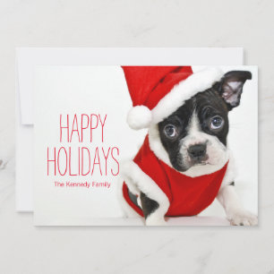 Cartes Pour Fêtes Annuelles Terrier de Boston de Noël