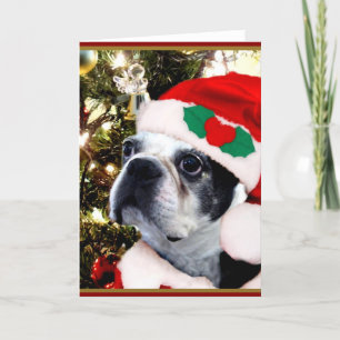 Cartes Pour Fêtes Annuelles Terrier de Boston de Noël