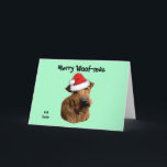 Cartes Pour Fêtes Annuelles Térrier Irlandais avec un chapeau de Père Noël<br><div class="desc">Térrier Irlandais avec un chapeau de Père Noël. Adorable Térrier Irlandais est prêt pour Noël,  êtes-vous prêt ? Aimez-vous les chiens et les chiots Térrier Irlandais ? Idées de cadeaux abordables pour les amis et la famille. Modifiez mon texte pour votre personnalisation.</div>