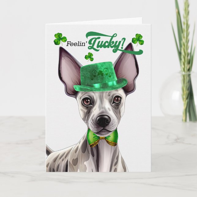 Cartes Pour Fêtes Annuelles Terrier sans cheveux Feelin' Lucky St Patrick's Da (Devant)