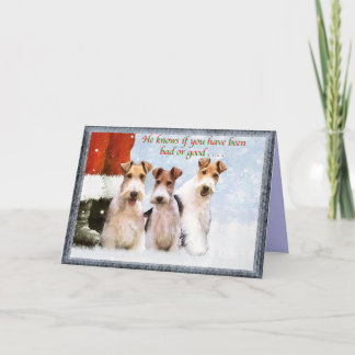 Cartes Pour Fêtes Annuelles Terriers de Noël
