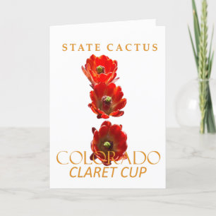 Cartes Pour Fêtes Annuelles Territoire du Colorado Cactus The Claret Cup