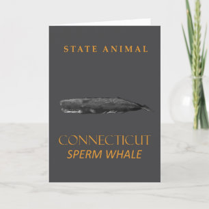 Cartes Pour Fêtes Annuelles Territoire du Connecticut Animal Physeter macrocep