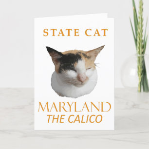 Cartes Pour Fêtes Annuelles Territoire du Maryland Chat Le Calicot