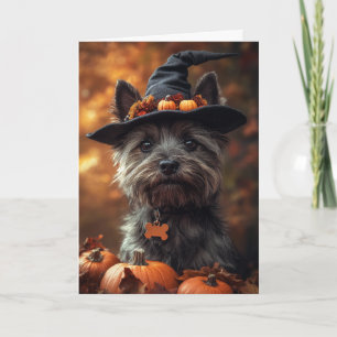 Cartes Pour Fêtes Annuelles Tervueren Halloween