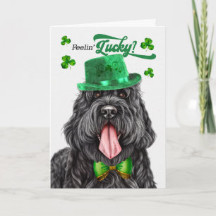Cartes Pour Fêtes Annuelles Tervueren noir de Russie Joyeuse Saint-Patrick