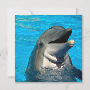Cartes Pour Fêtes Annuelles Tête de dauphin à bec