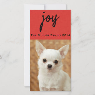 Cartes Pour Fêtes Annuelles Textured Red Pet Chalkboard Photocard