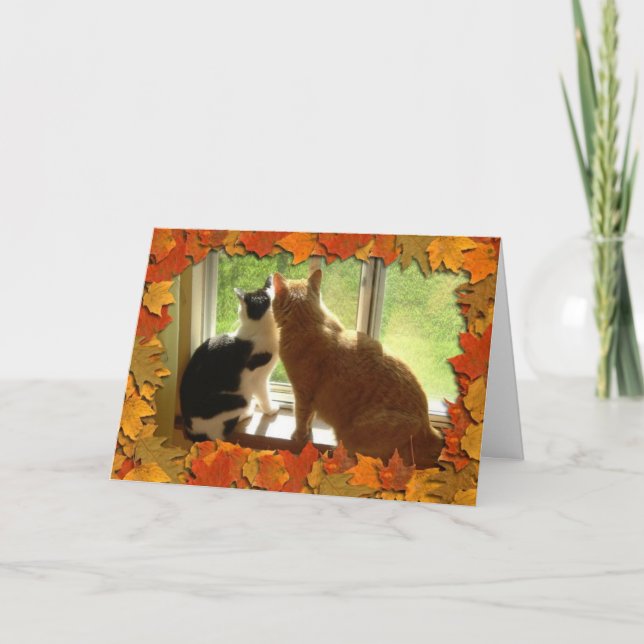 Cartes Pour Fêtes Annuelles Thankesgiving Kittens (Devant)
