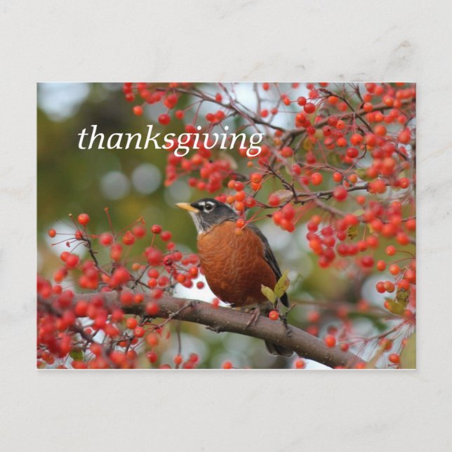Cartes Pour Fêtes Annuelles thanksgiving (Devant)