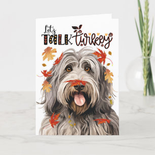 Cartes Pour Fêtes Annuelles Thanksgiving Bergamasco Dog Parlons Turquie