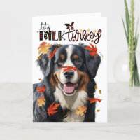 Thanksgiving Bernese Mountain Dog Parle Turquie