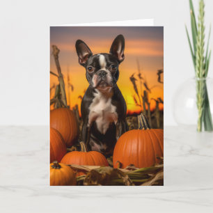 Cartes Pour Fêtes Annuelles Thanksgiving de Boston Terrier