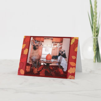 Cartes Pour Fêtes Annuelles Thanksgiving de chien