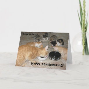 Cartes Pour Fêtes Annuelles Thanksgiving de minous !