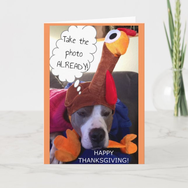 Cartes Pour Fêtes Annuelles Thanksgiving - Pittie pathétique (Devant)