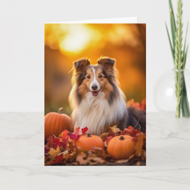 Cartes Pour Fêtes Annuelles Thanksgiving Sheltie (Devant)