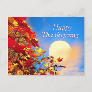 Cartes Pour Fêtes Annuelles Thanksgiving Sun and Fall Tree