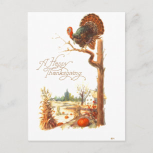 Cartes Pour Fêtes Annuelles Thanksgiving Turkey on Tree Branch Vintage