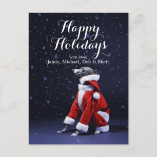 Cartes Pour Fêtes Annuelles The dog sits putting on Father Christmas